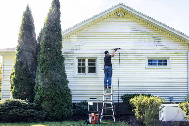 Best Fence Cleaning  in Bohemia, NY